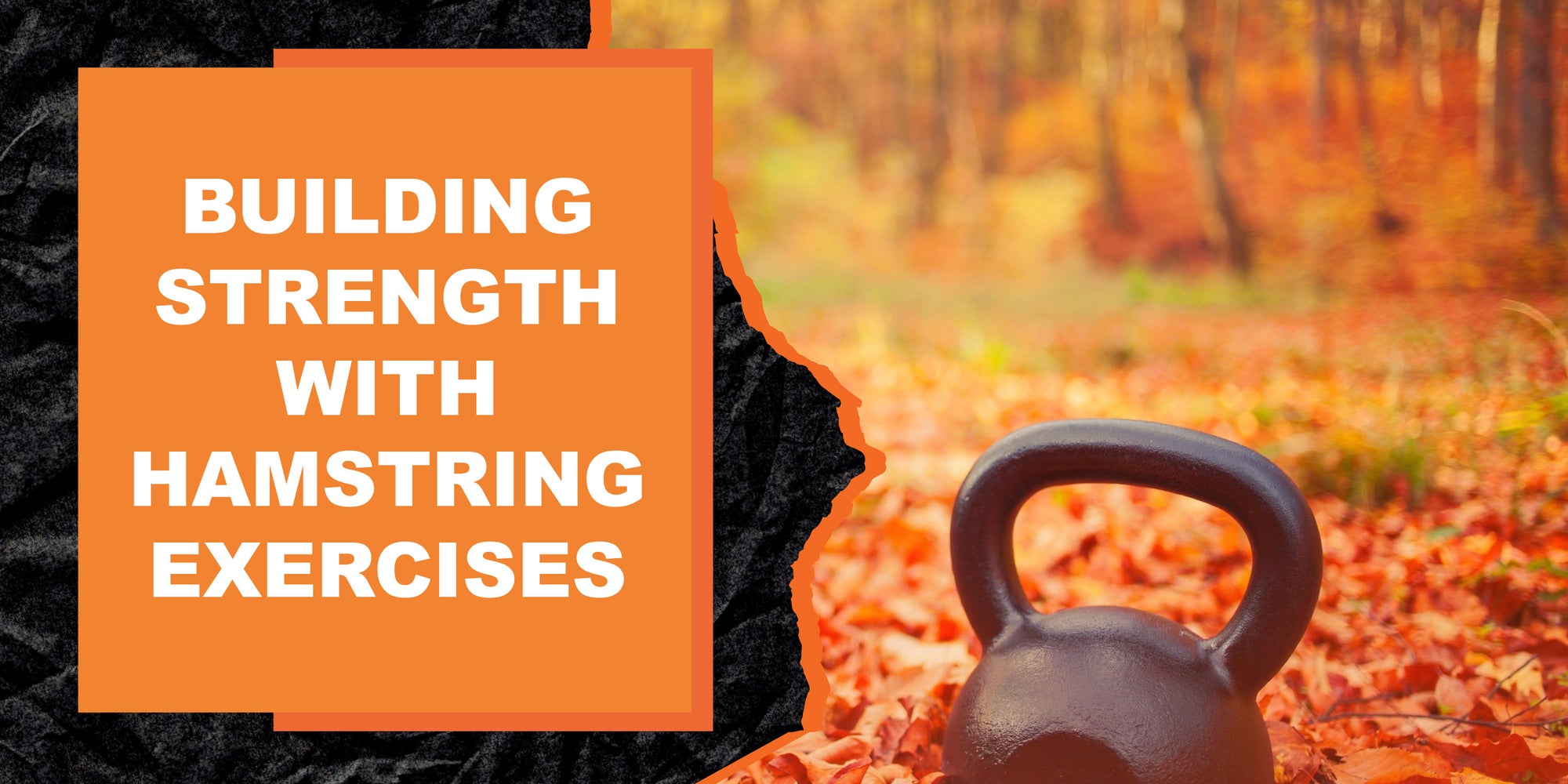 Building Strength with Hamstring Exercises