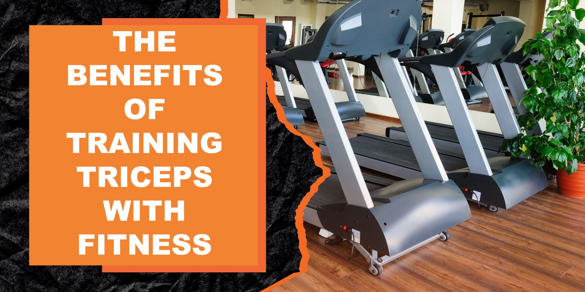 The Benefits of Training Triceps with Fitness Gear