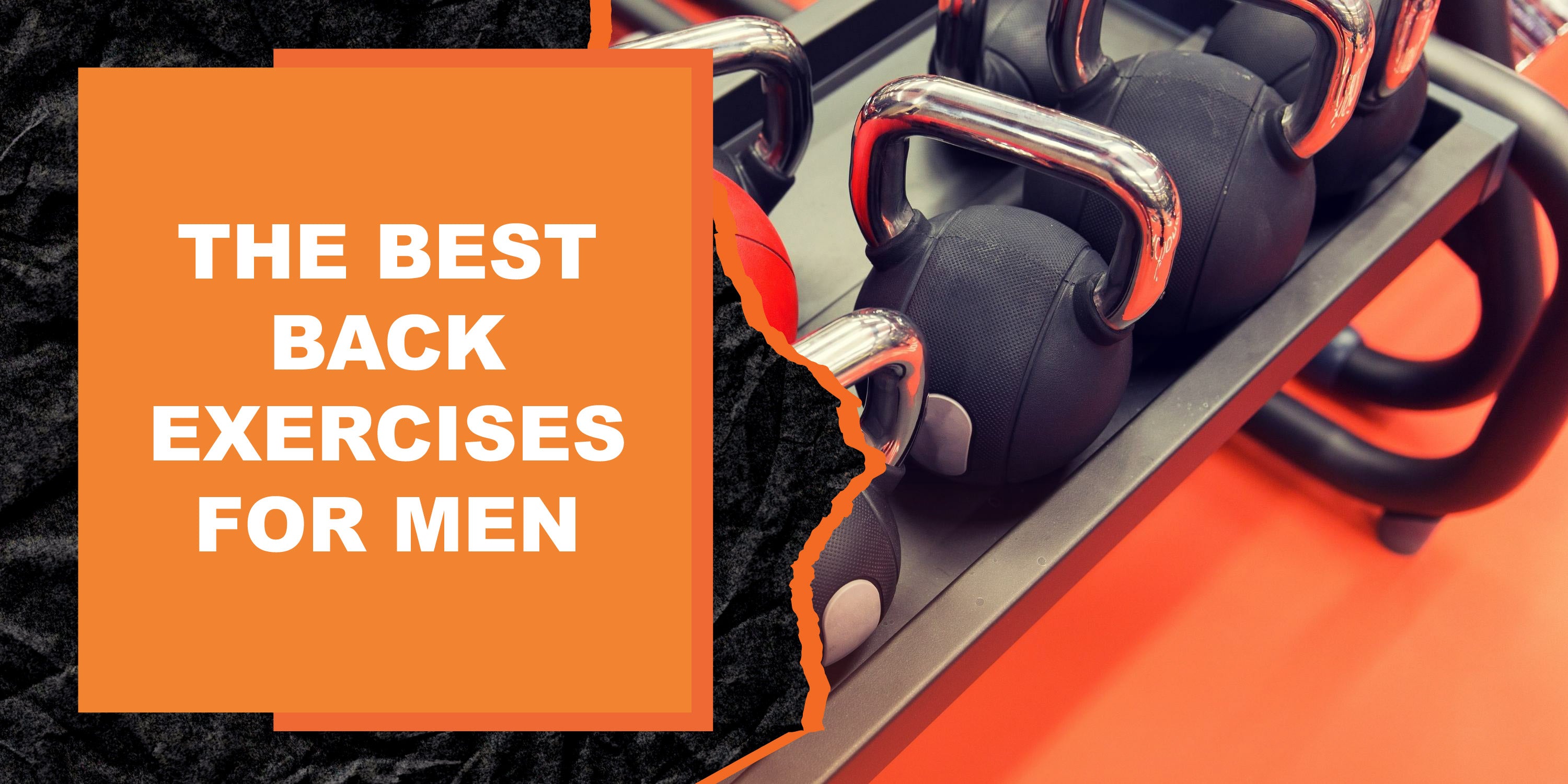 Back Store Body Position The Best Back Exercises for Men | MAGMA Fitness