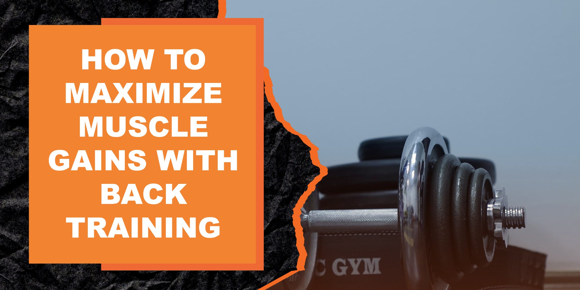 How to Maximize Muscle Gains with Back Training