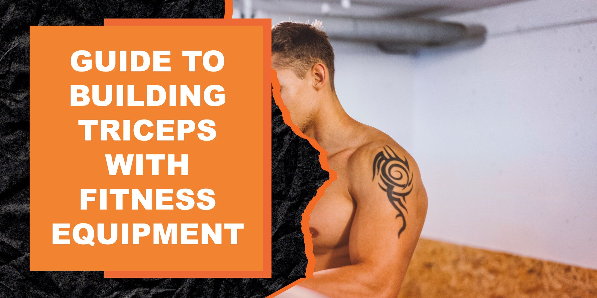 The Complete Guide to Building Triceps with Fitness Equipment