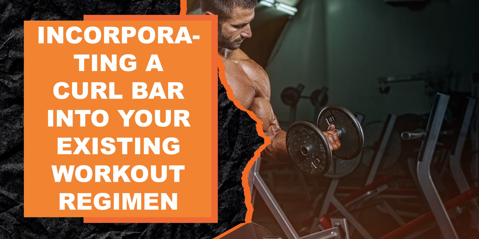 Incorporating a Curl Bar Into Your Existing Workout Regimen