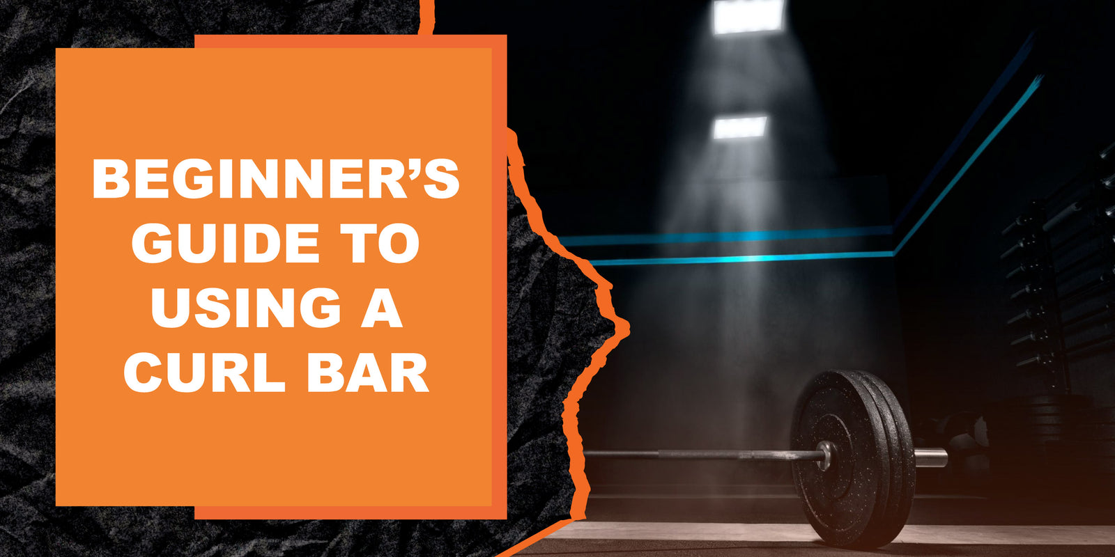Beginner’s Guide to Using a Curl Bar