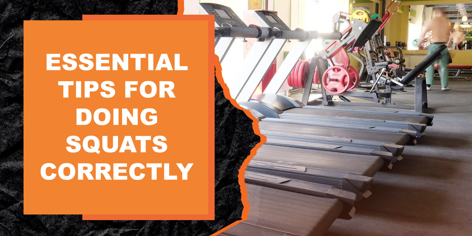 Compass Squat Essential Tips for Doing Squats Correctly | MAGMA Fitness