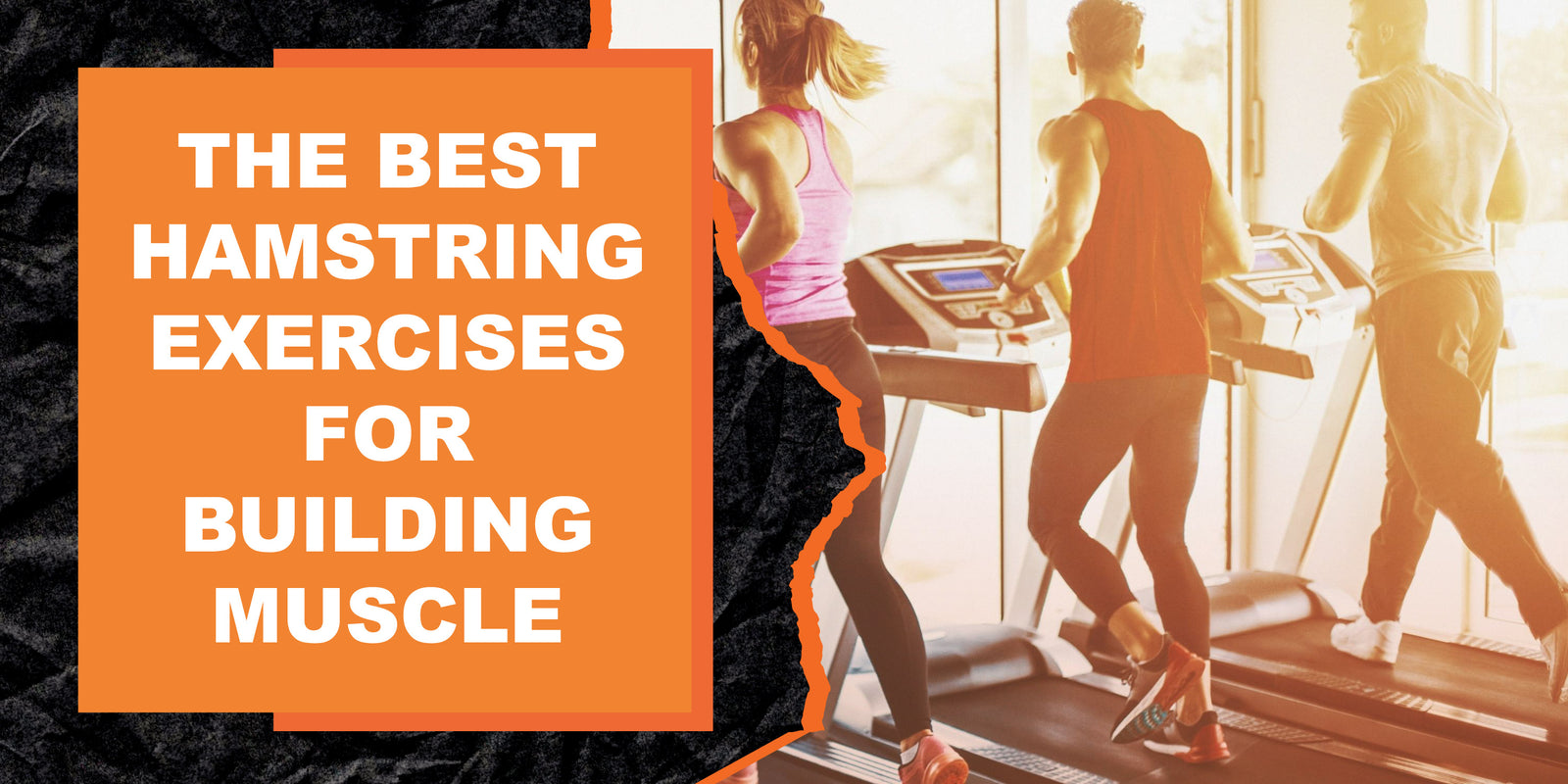 The Best Hamstring Exercises for Building Muscle