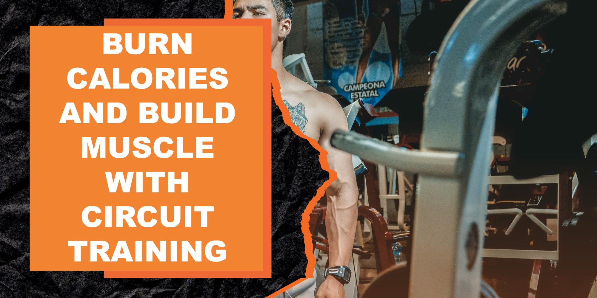 Burn Calories and Build Muscle with Circuit Training