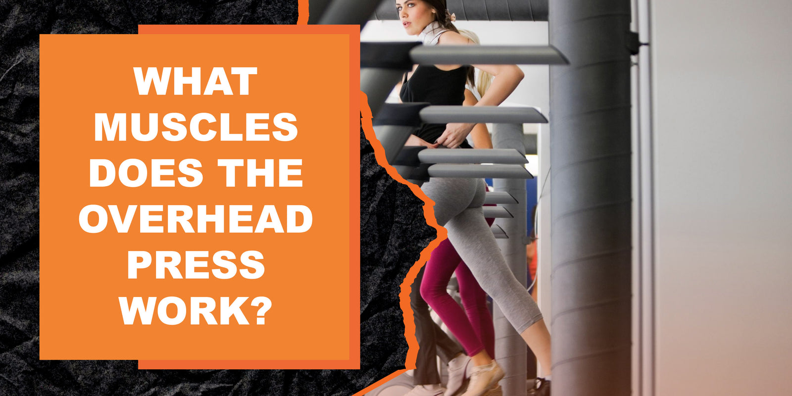 what-muscles-does-the-overhead-press-work-magma-fitness