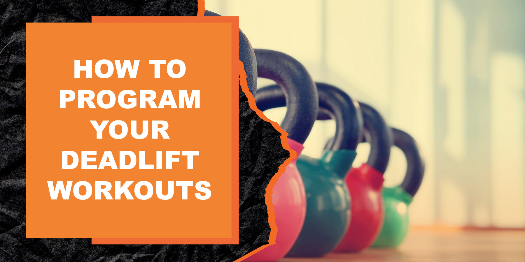 How To Program Your Deadlift Workouts | MAGMA Fitness