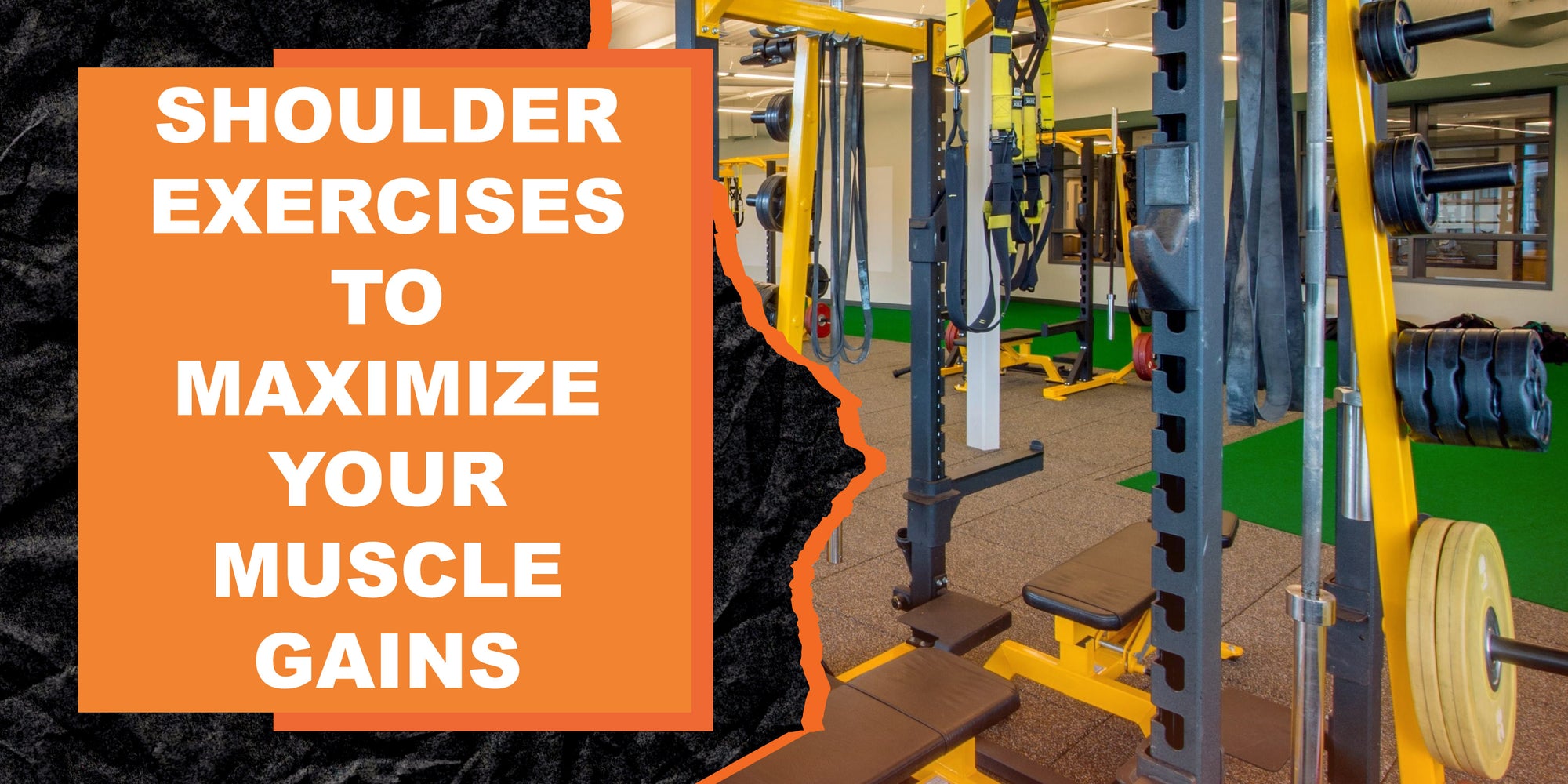 Shoulder Exercises to Maximize Your Muscle Gains