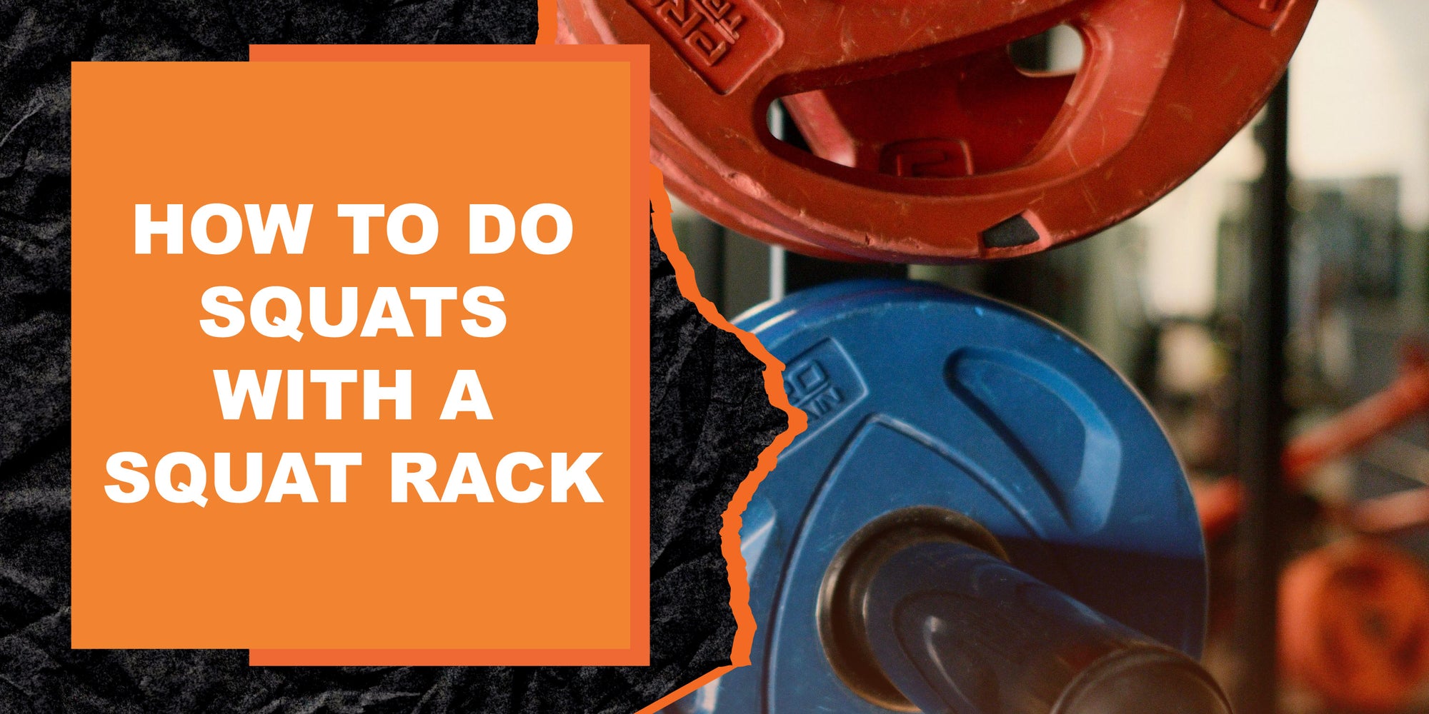 How to Do Squats with a Squat Rack | MAGMA Fitness