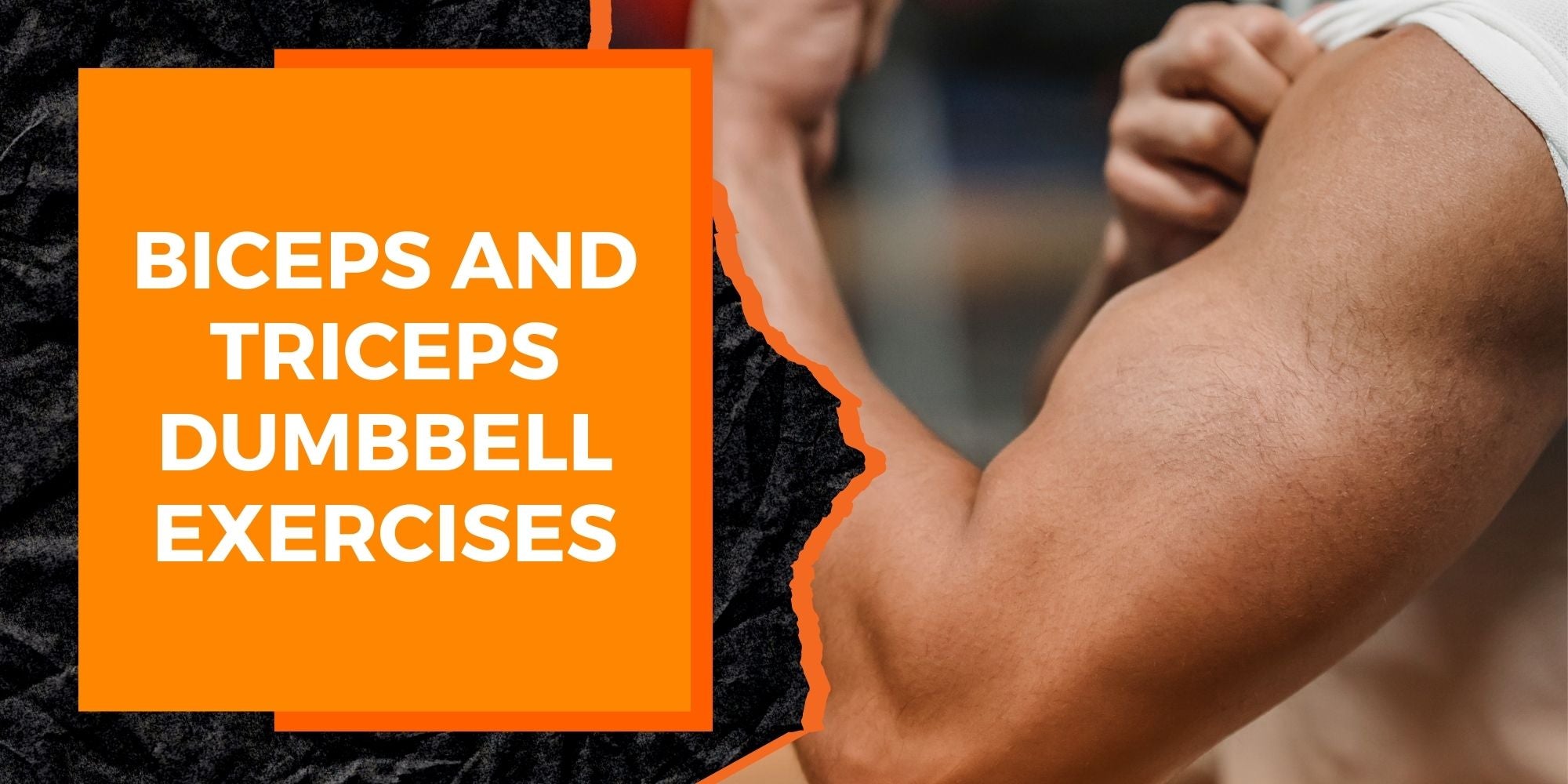 Biceps and Triceps Dumbbell Exercises