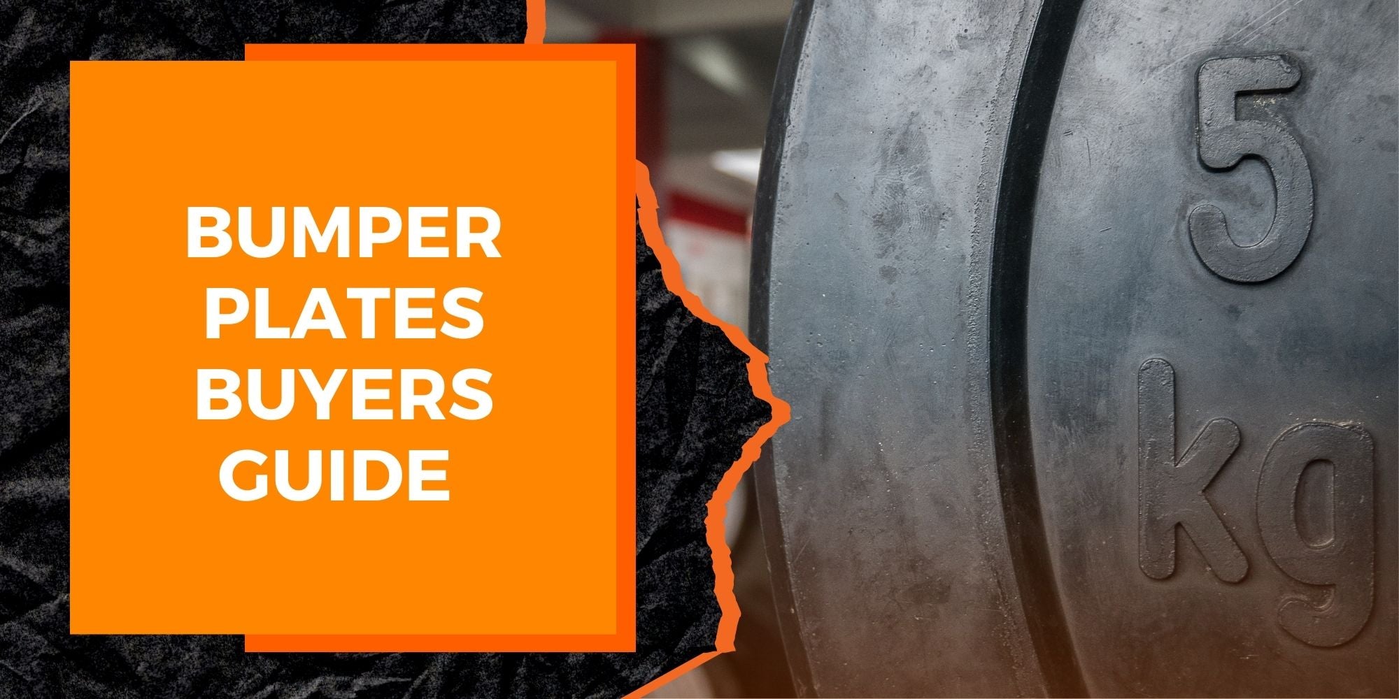 Bumper Plate Buying Guide Everything You Need to Know Before You Buy