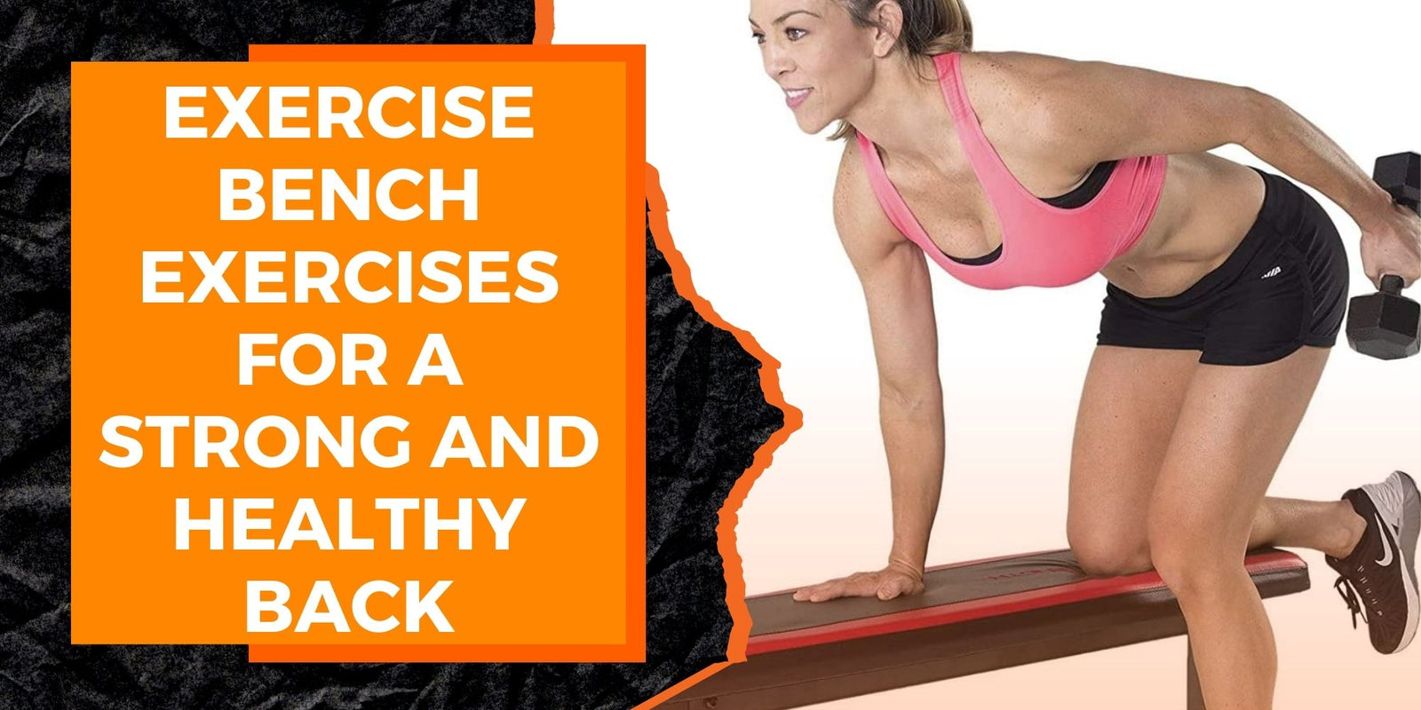 Exercise Using Bench Exercise Bench Exercises for a Strong and Healthy Back | MAGMA Fitness