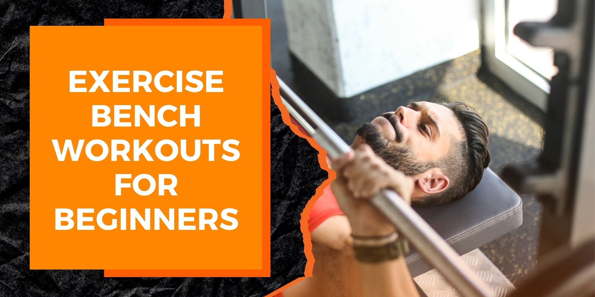 Exercise Bench Workouts for Beginners | MAGMA Fitness