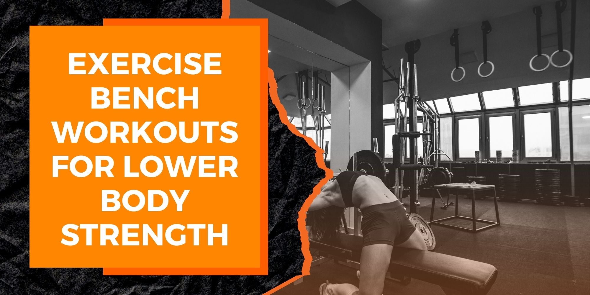 Exercise Bench Workouts for Lower Body Strength