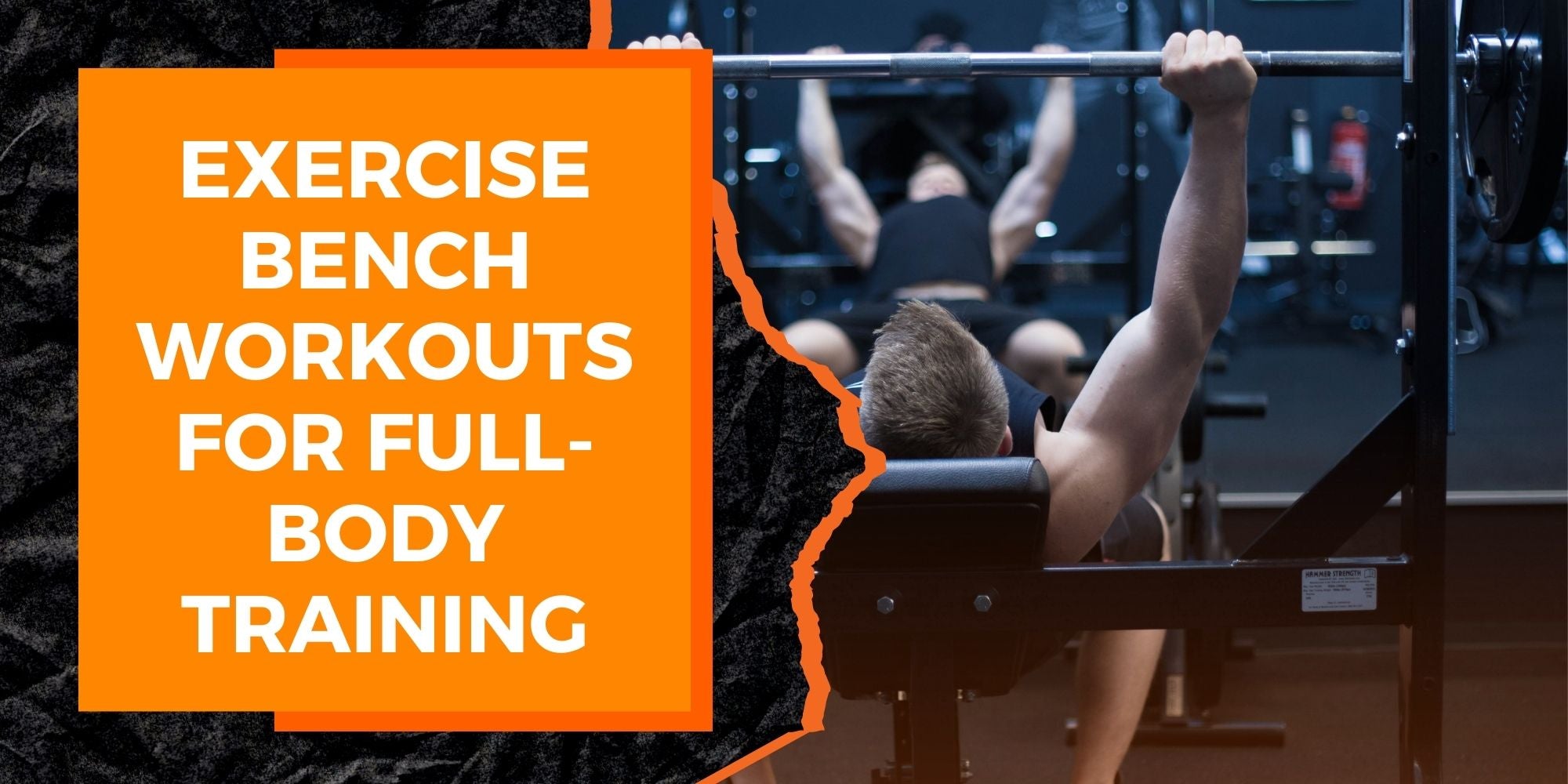 Exercise Bench Workouts for a Full-Body Strength Training