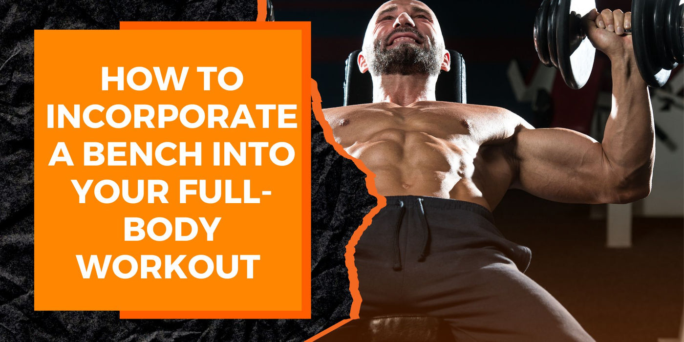 Bench Workout Example How to Incorporate a Bench into Your Full-Body Workout | MAGMA Fitness