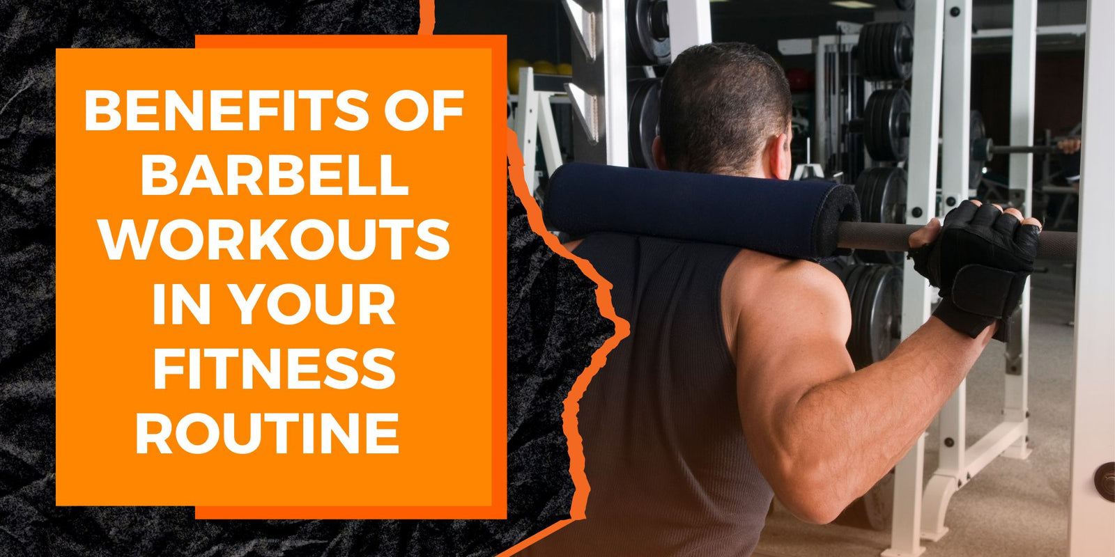 The Benefits of Including Barbell Workouts in Your Fitness Routine ...