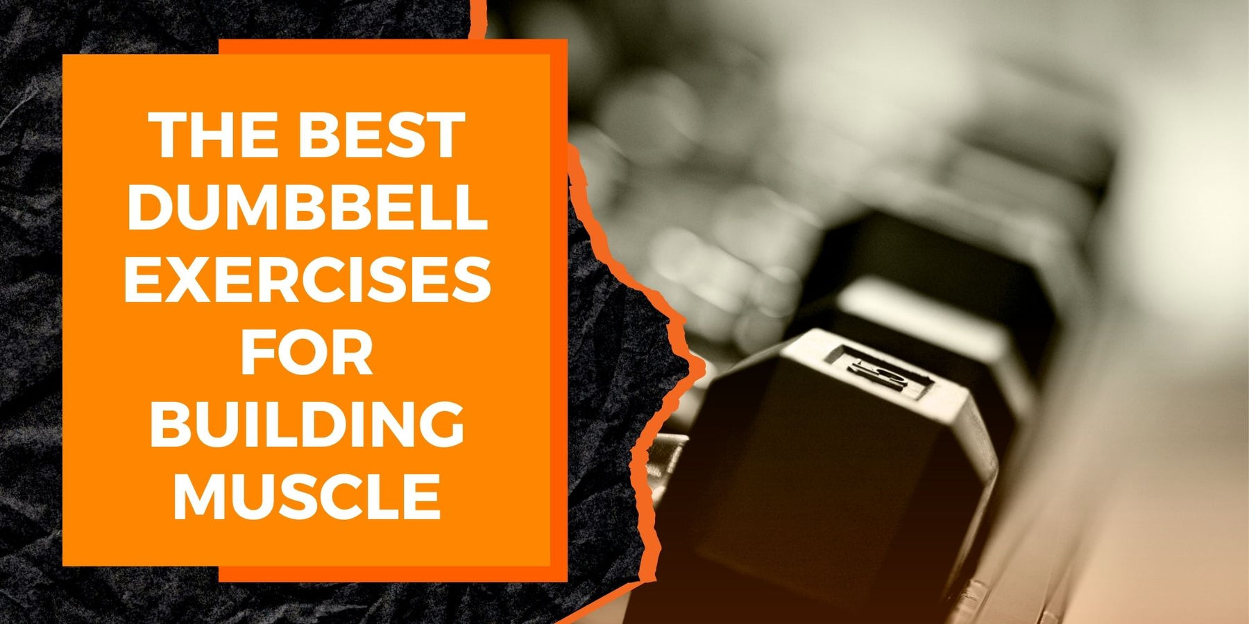 The Best Dumbbell Exercises for Building Muscle MAGMA Fitness