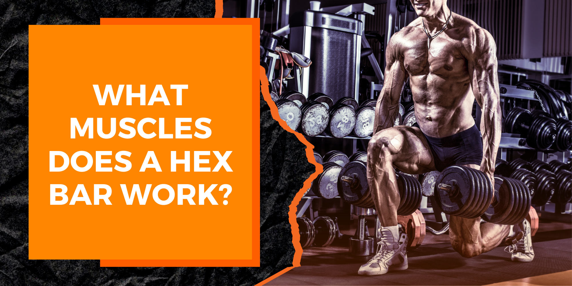 What Muscles Does a Hex Bar Work?