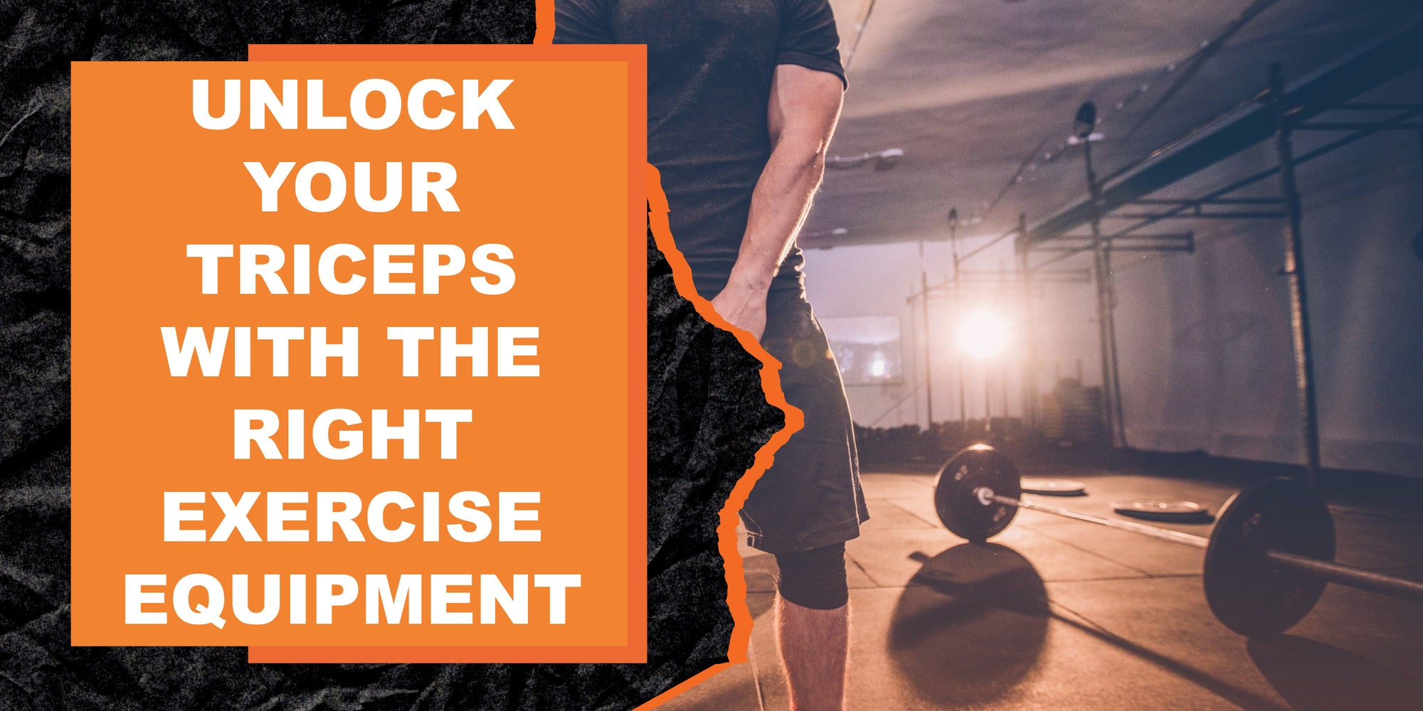 Unlock Your Full Triceps Potential with the Right Fitness Equipment