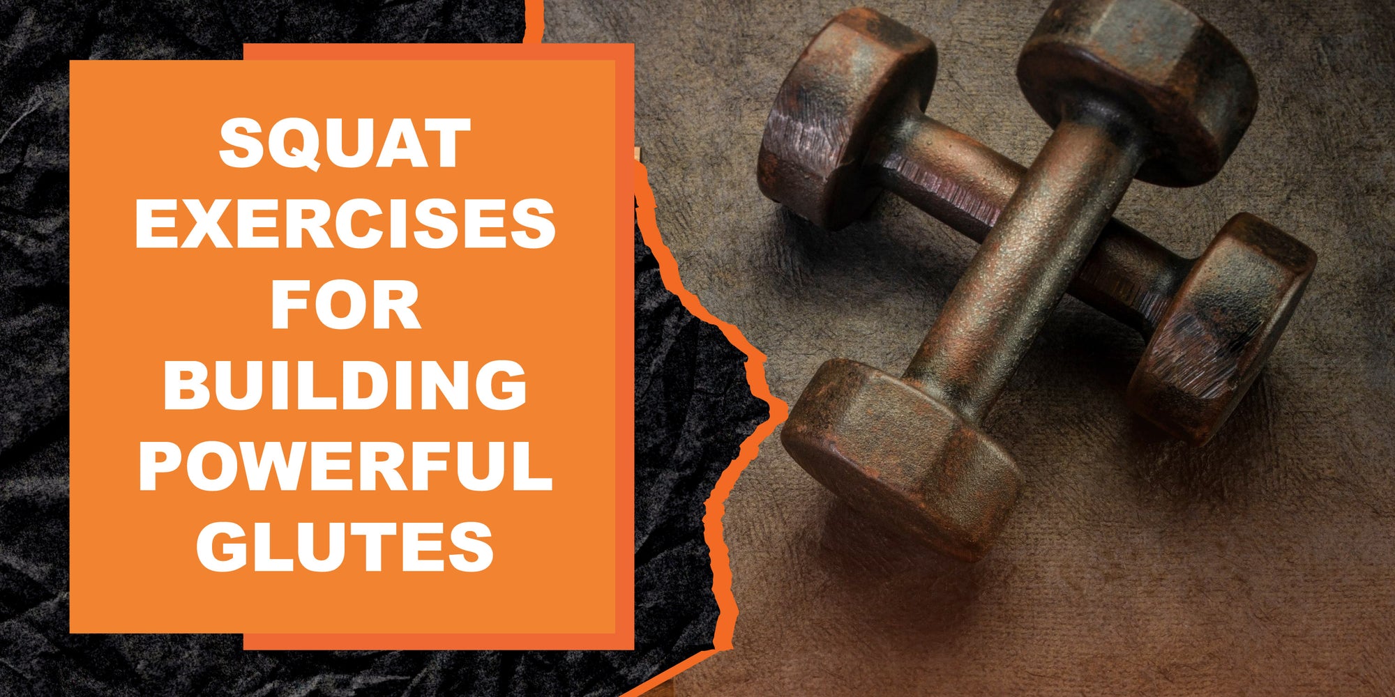 Squat Exercises For Building Powerful Glutes