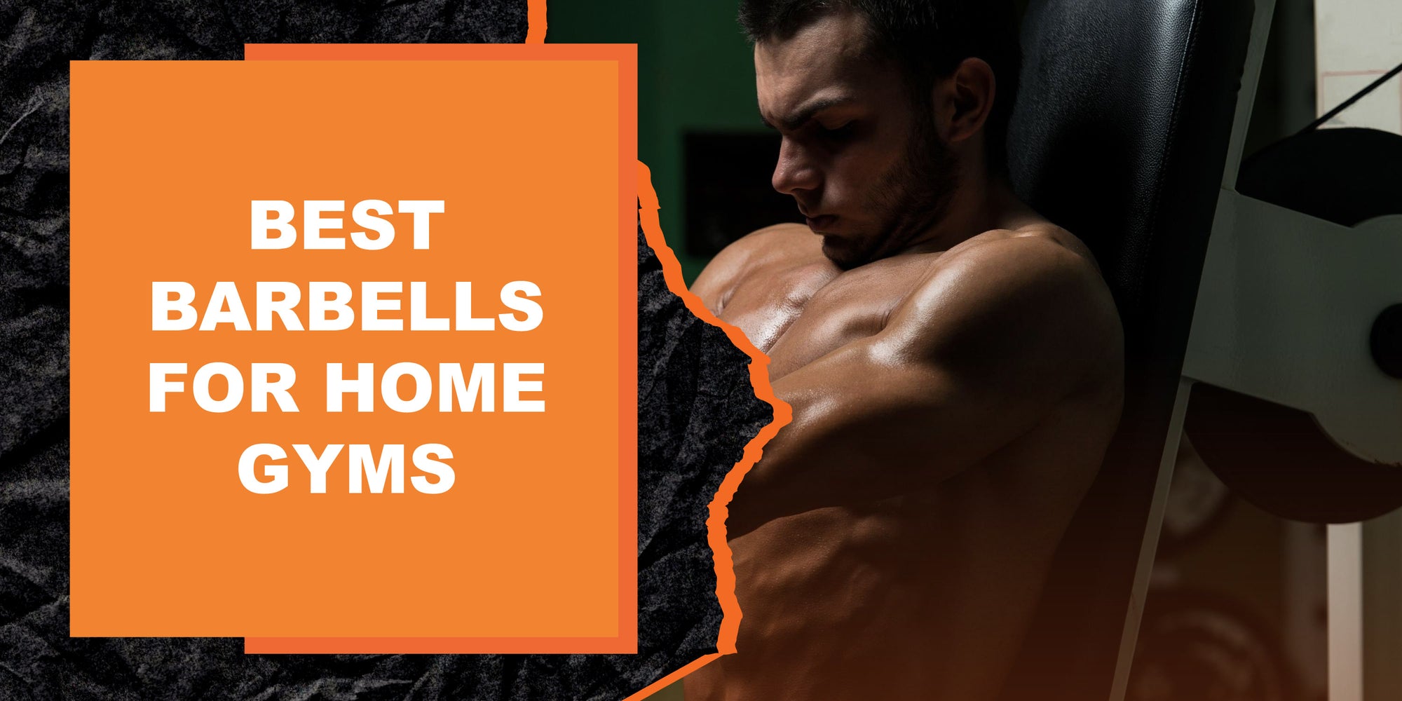 Best Barbells for Home Gyms