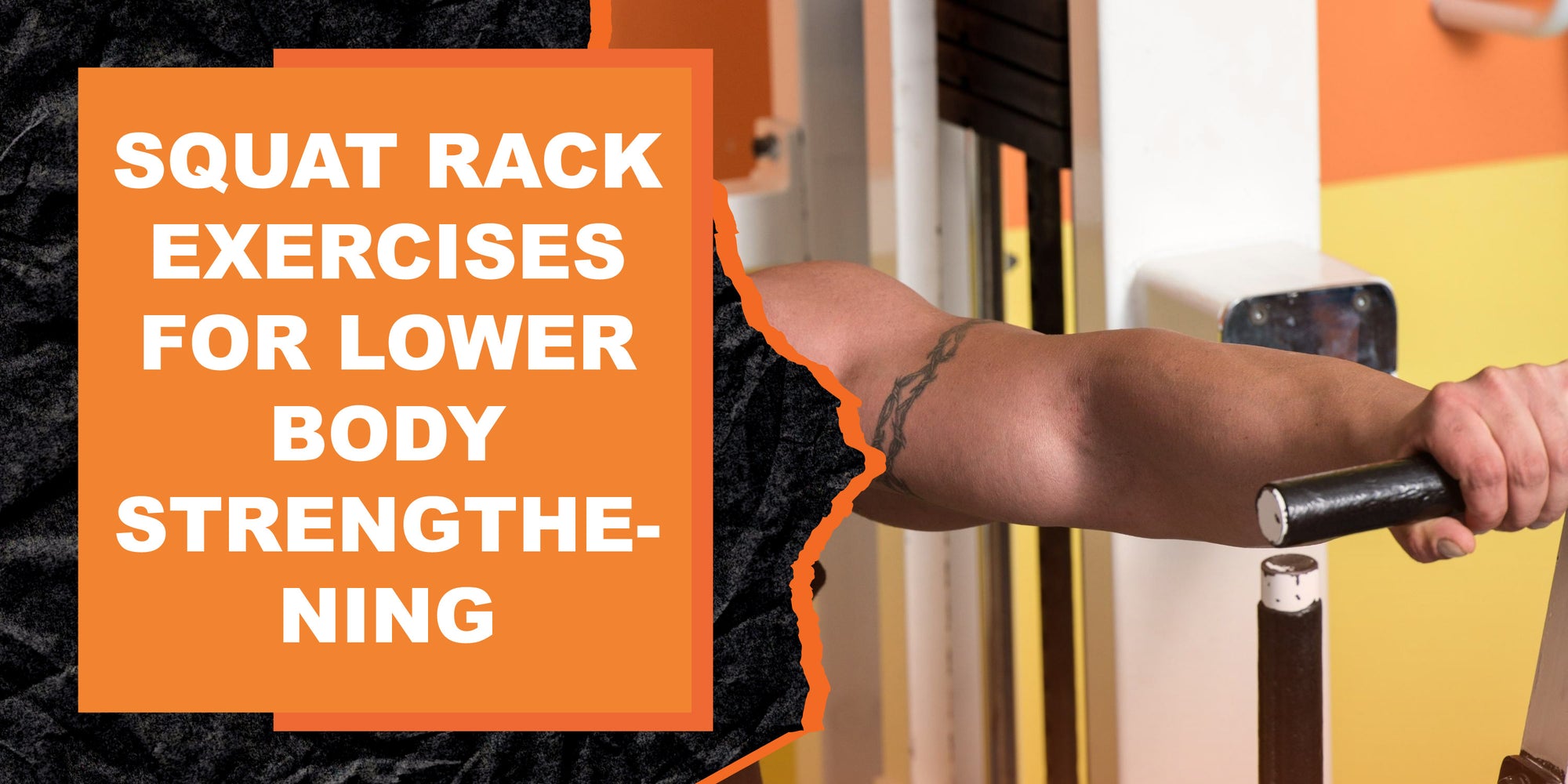 The Rack Home Exercise Program Squat Rack Exercises for Lower Body Strengthening | MAGMA Fitness