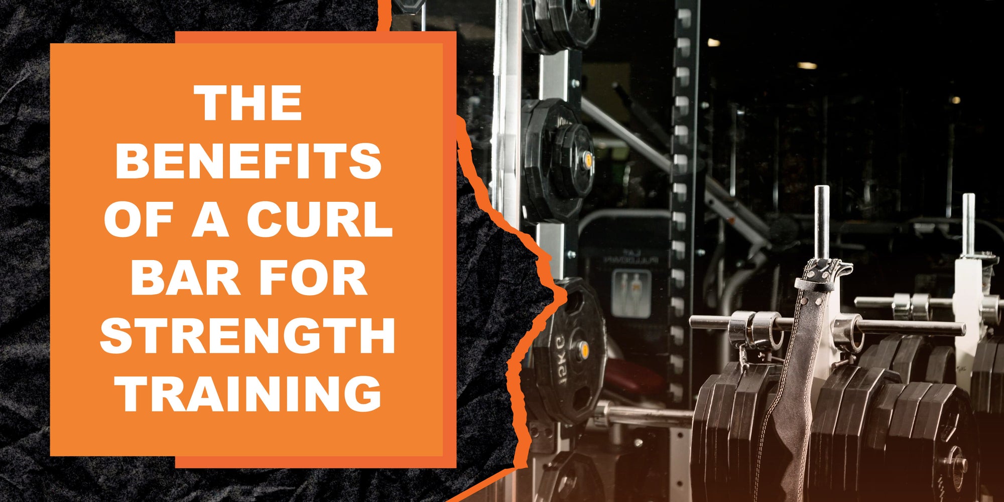 The Benefits of a Curl Bar for Strength Training