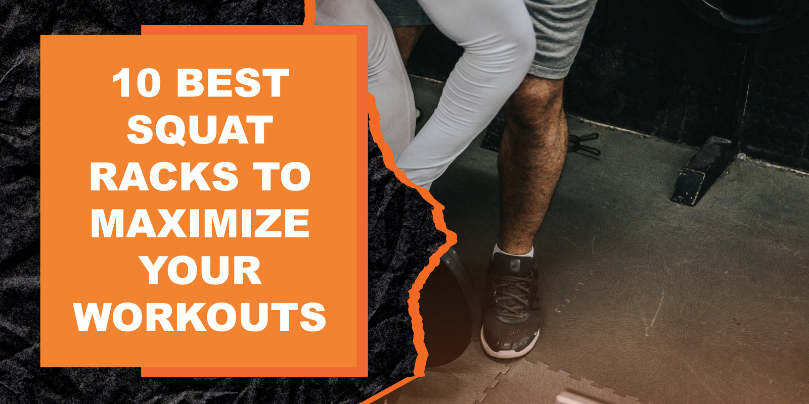 Squat Rack Workout Routine 10 Best Squat Racks to Maximize Your Workouts | MAGMA Fitness