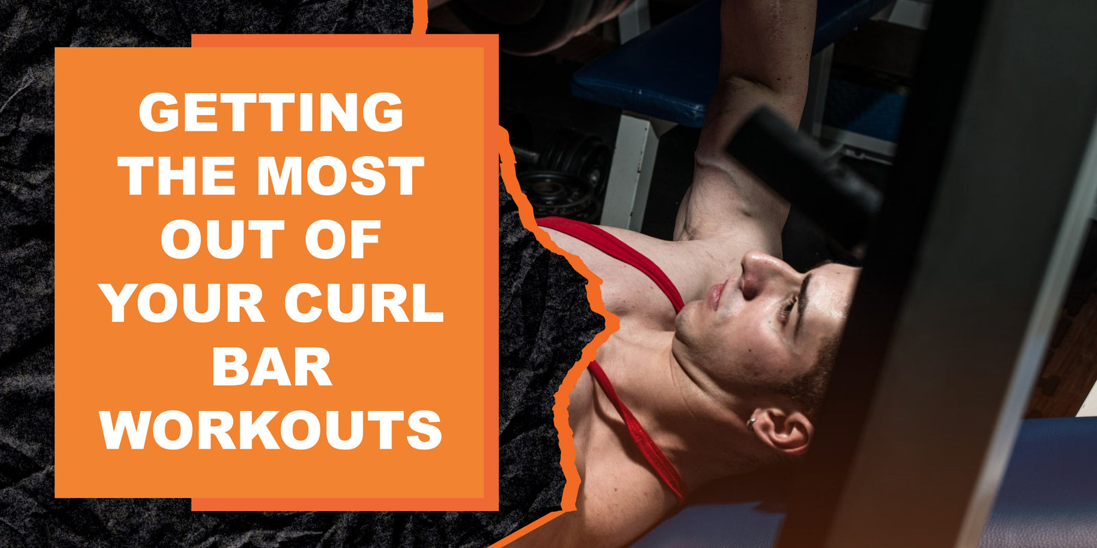 Getting the Most Out of Your Curl Bar Workouts