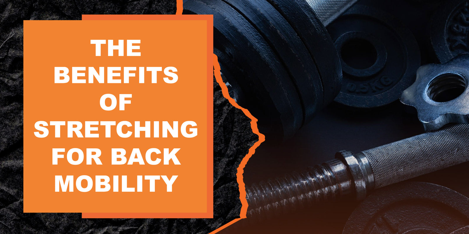 The Benefits of Stretching for Back Mobility