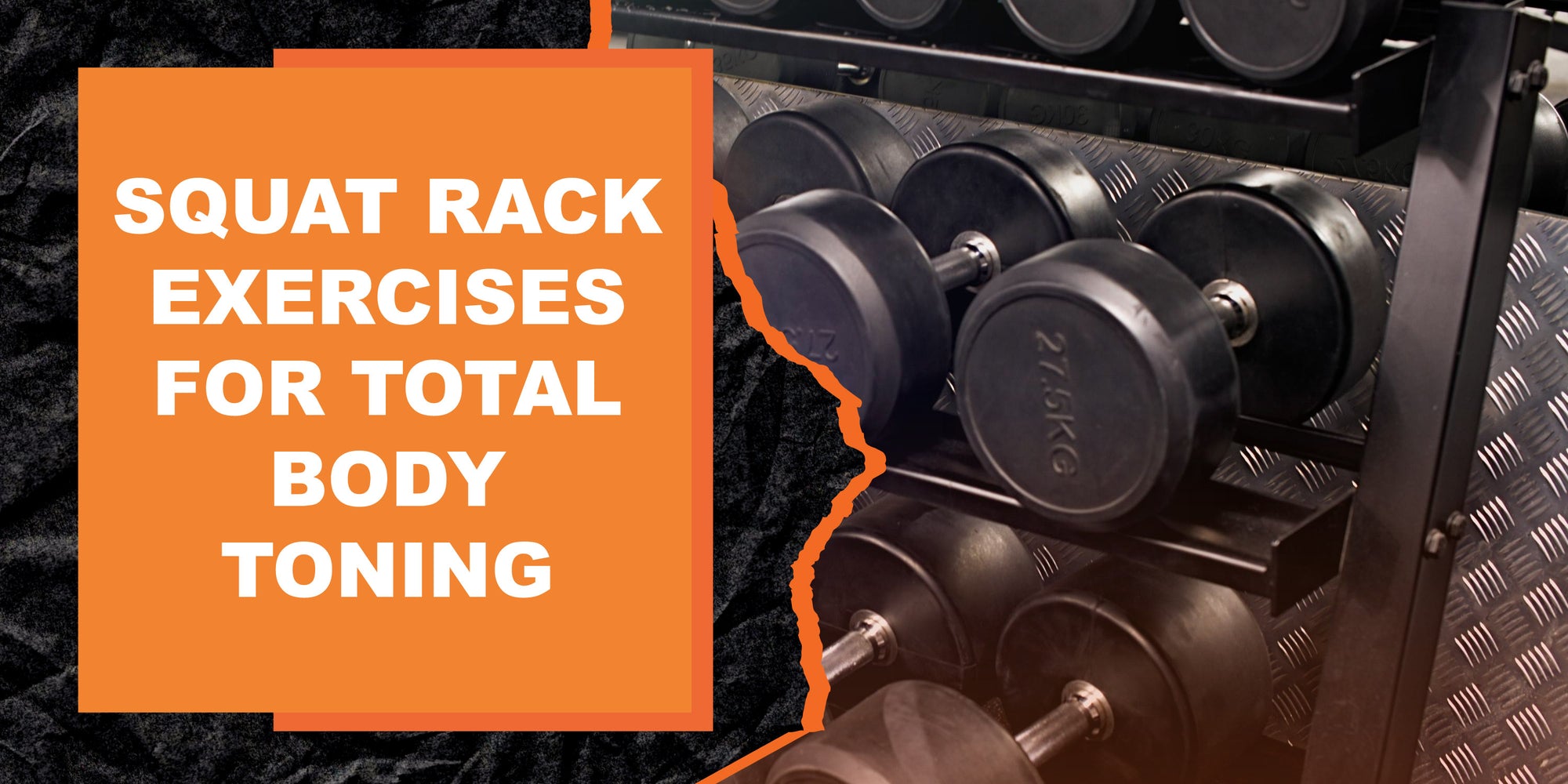 The Rack Home Exercise Program Squat Rack Exercises for Total Body Toning | MAGMA Fitness