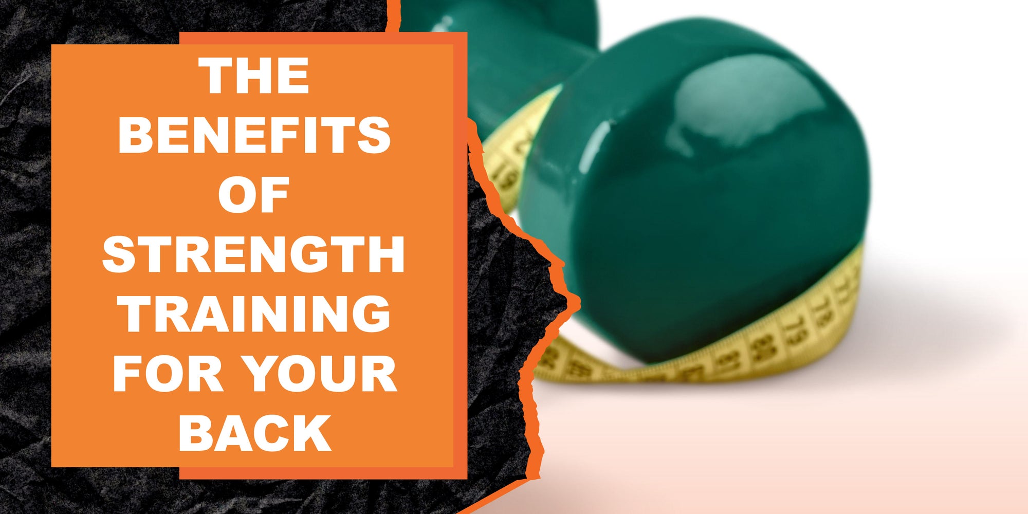 The Benefits of Strength Training for Your Back