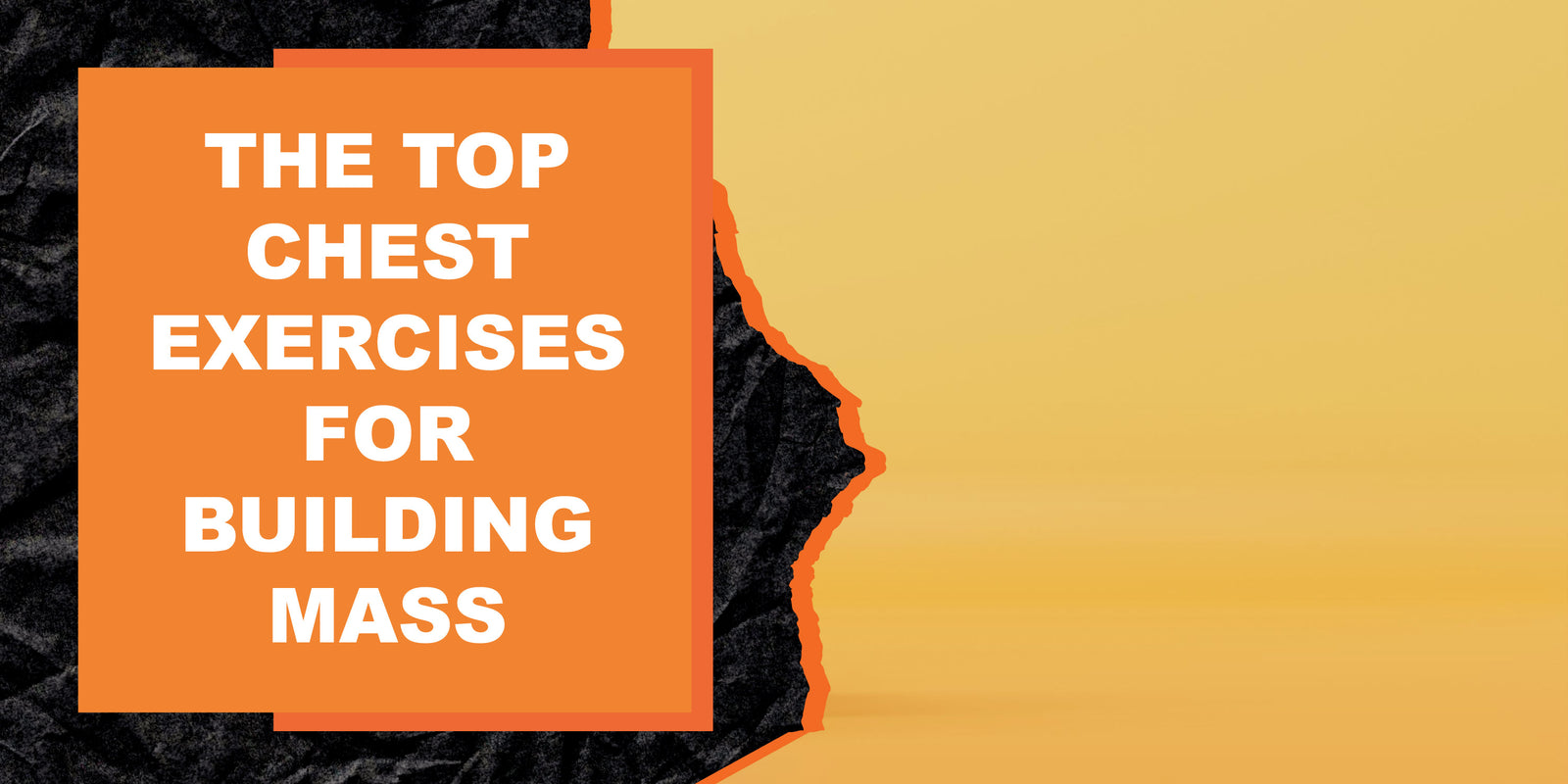 The Top Chest Exercises for Building Mass