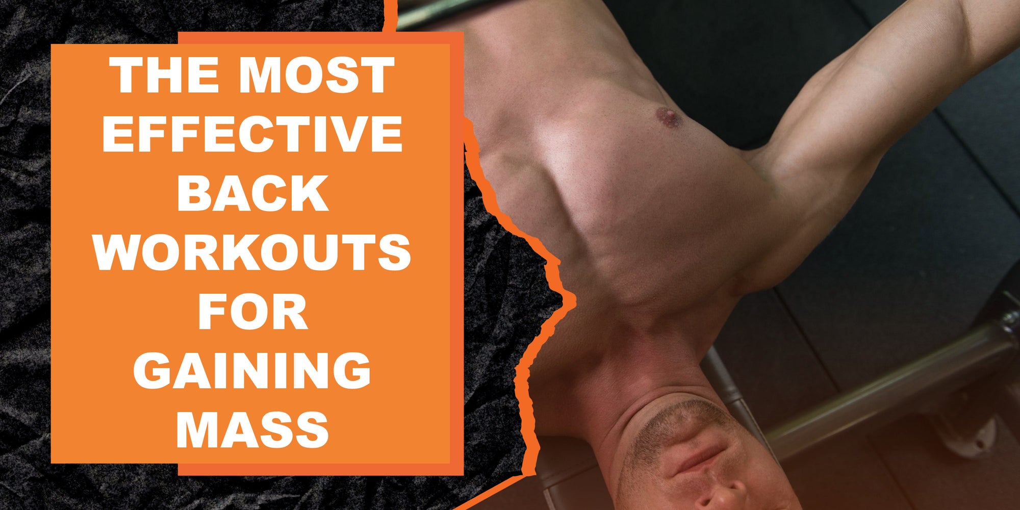 The Most Effective Back Workouts for Gaining Mass