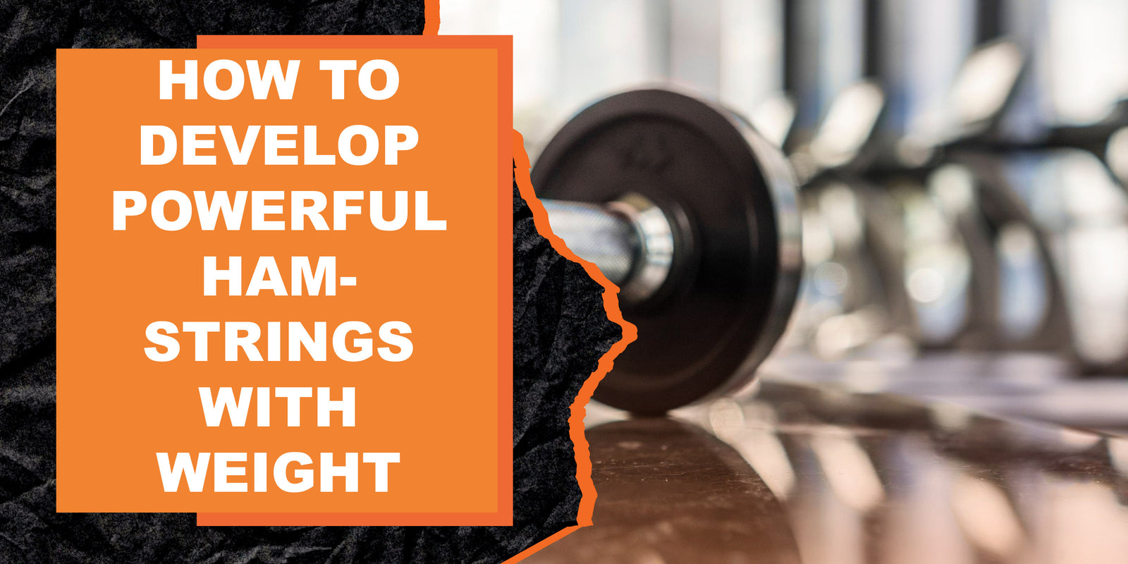 How to Develop Powerful Hamstrings with Weight Training