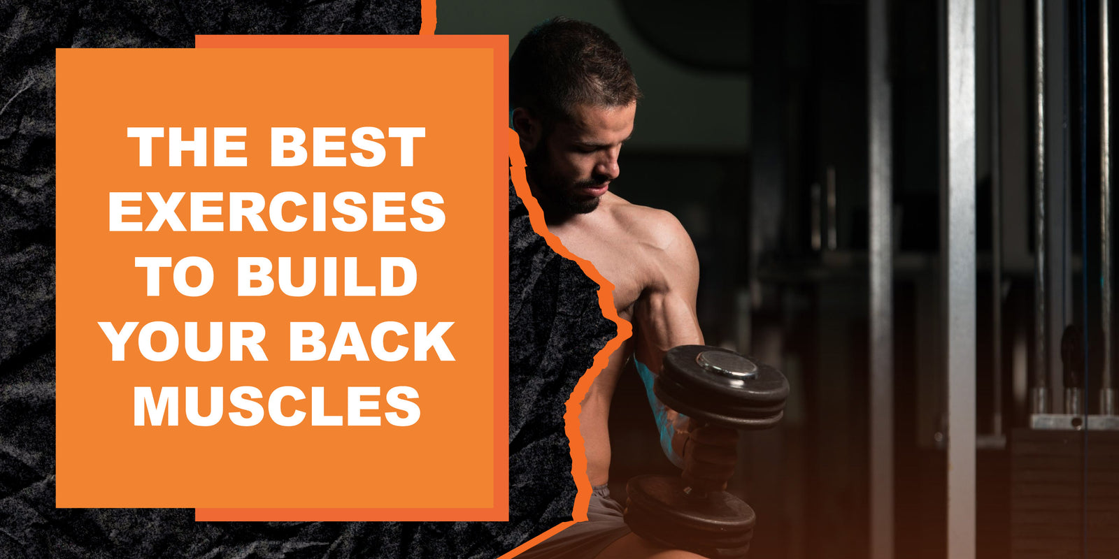 The Best Exercises to Build Your Back Muscles MAGMA Fitness