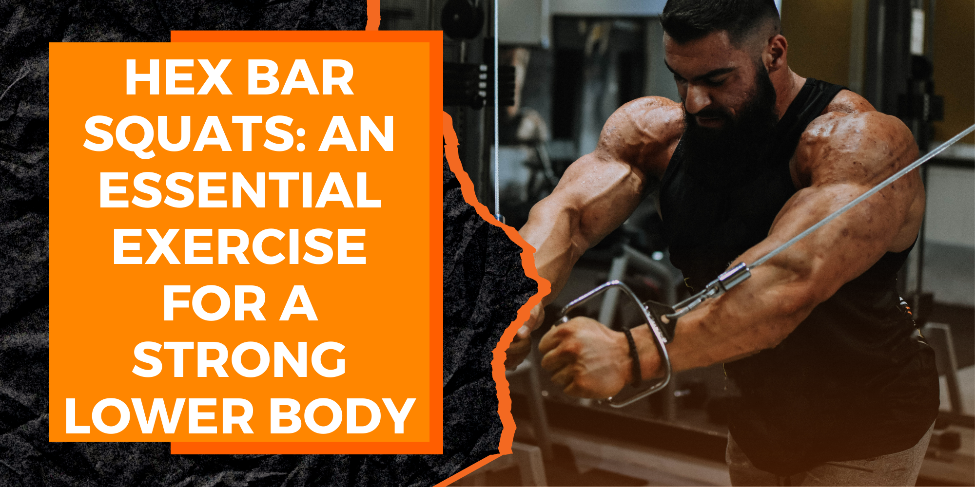 Hex Bar Squats: An Essential Exercise for a Strong Lower Body | MAGMA ...