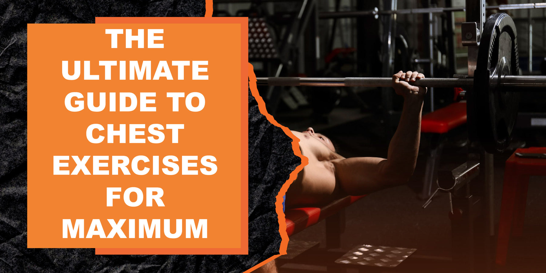 The Ultimate Guide to Chest Exercises for Maximum Gains | MAGMA Fitness