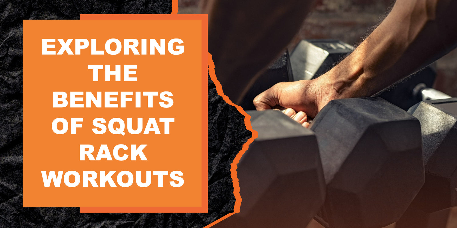 Weight Rack Workout Routine Exploring the Benefits of Squat Rack Workouts | MAGMA Fitness