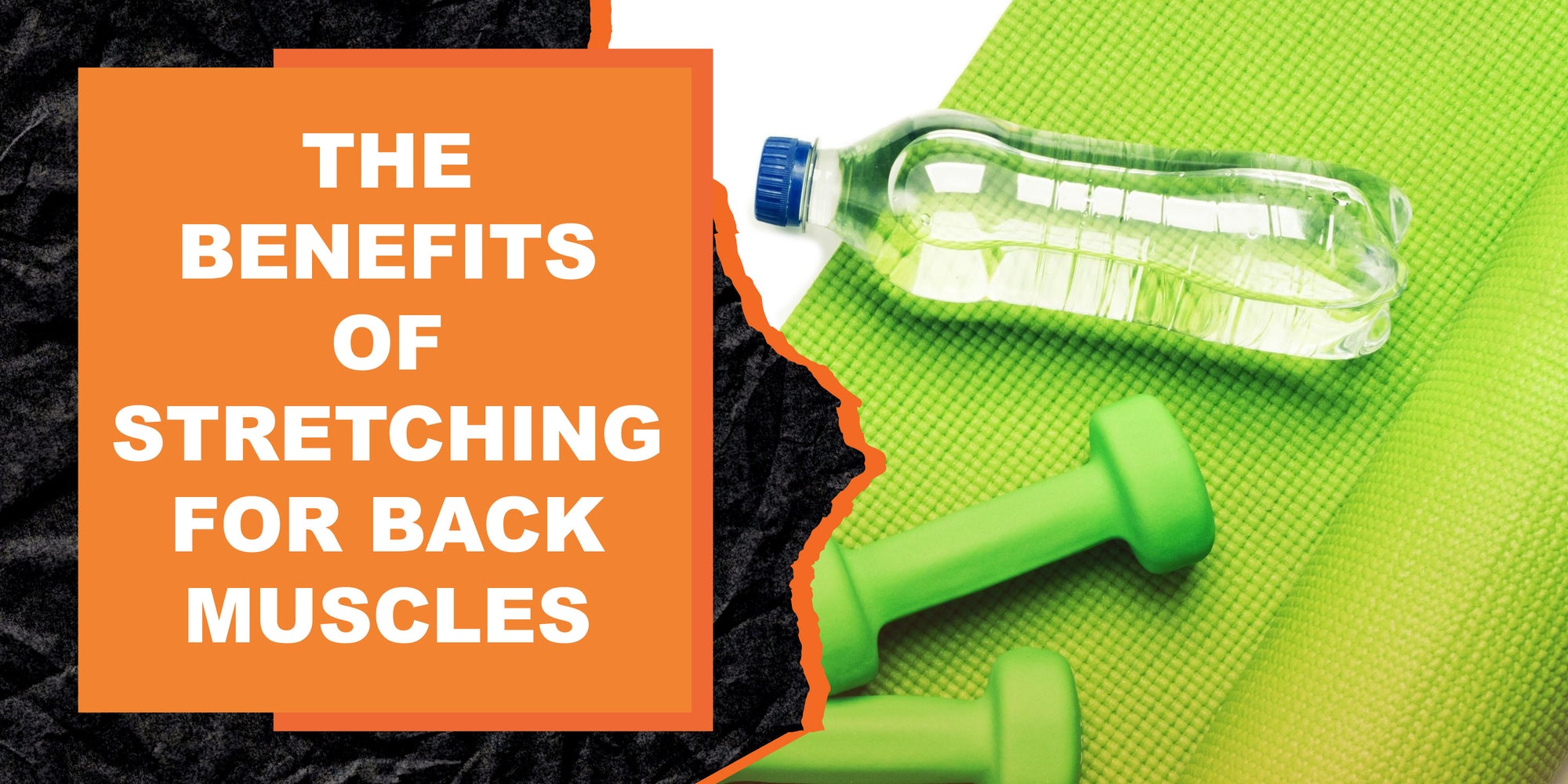 The Benefits of Stretching for Back Muscles