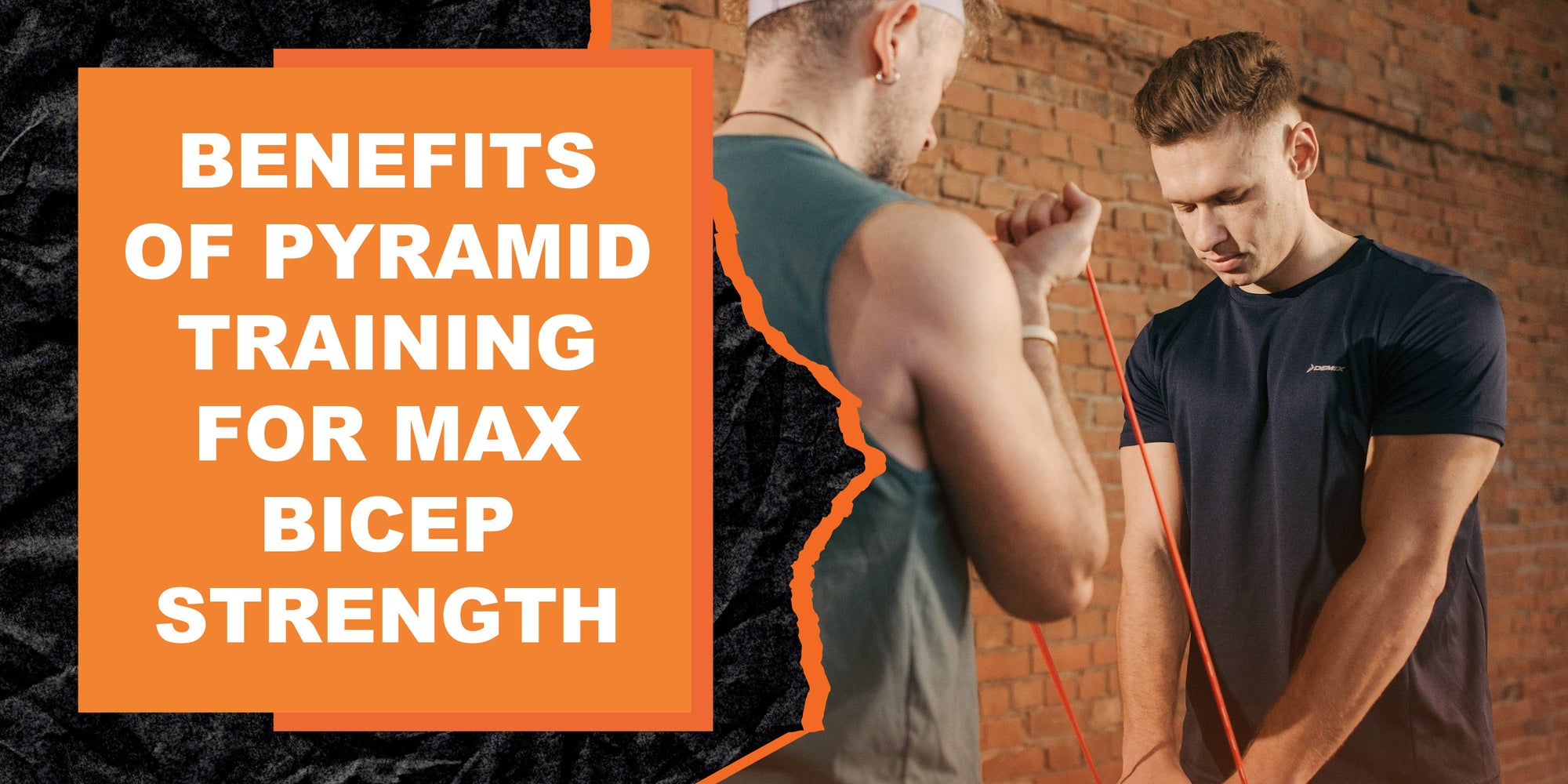 The Benefits of Pyramid Training for Maximum Bicep Strength and Size