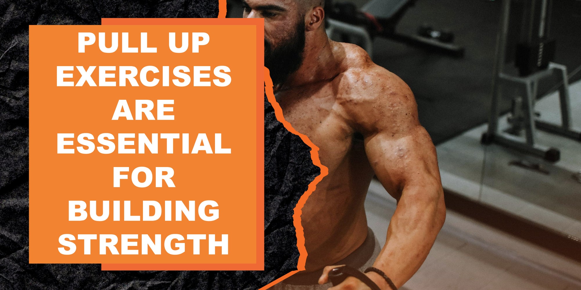 10 Reasons Pull Up Exercises Are Essential for Building Strength