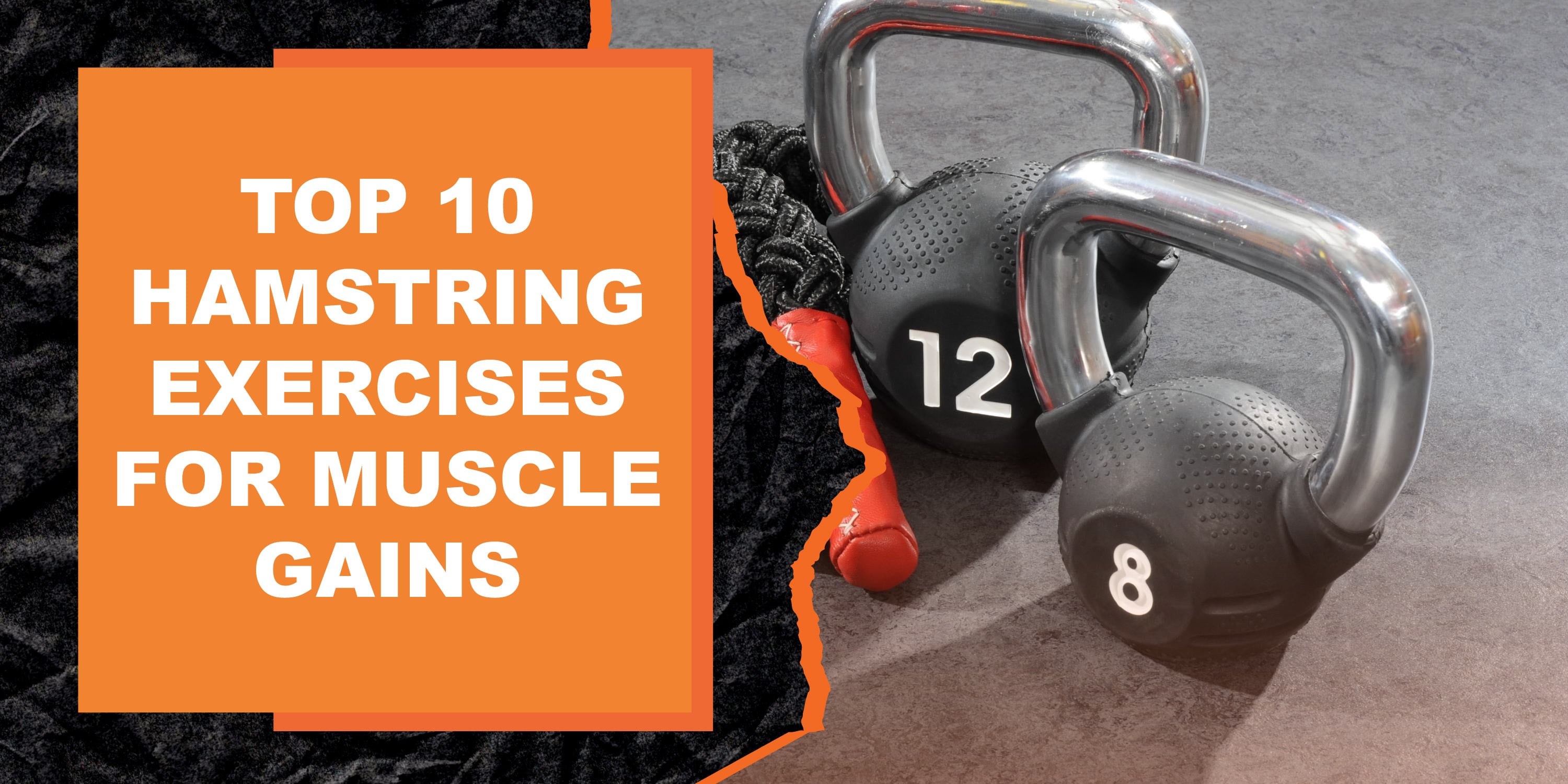 Top 10 Hamstring Exercises for Muscle Gains | MAGMA Fitness Best hamstring workouts