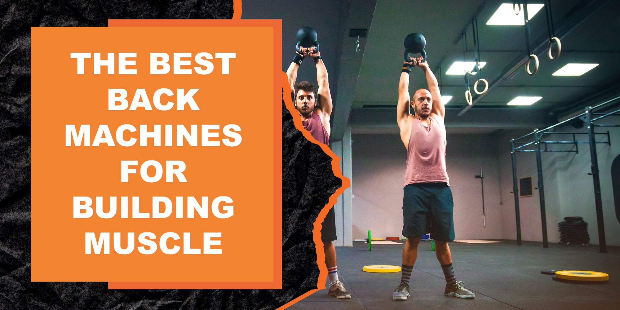 The Best Back Machines for Building Muscle