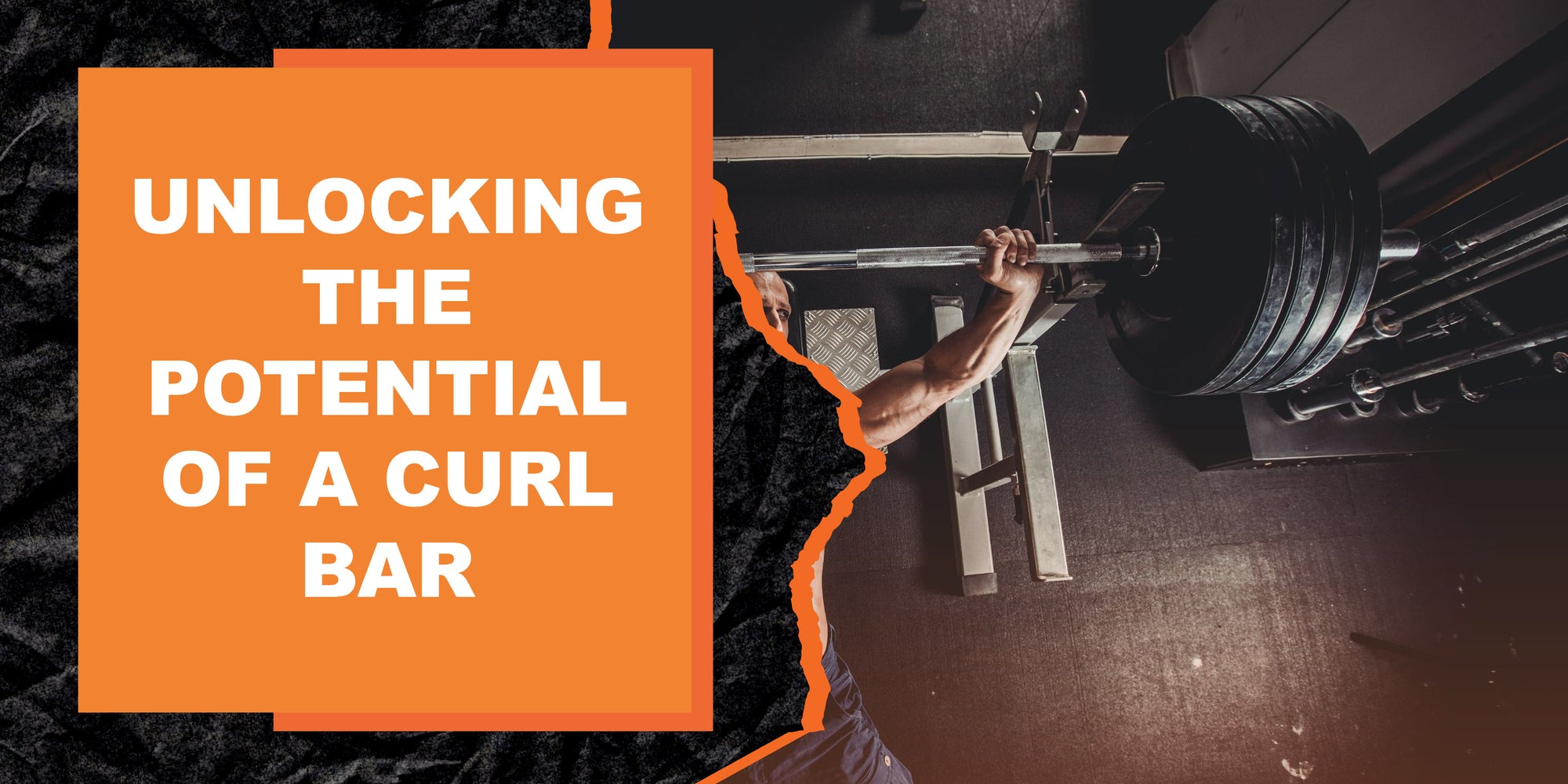 Unlocking the Potential of a Curl Bar