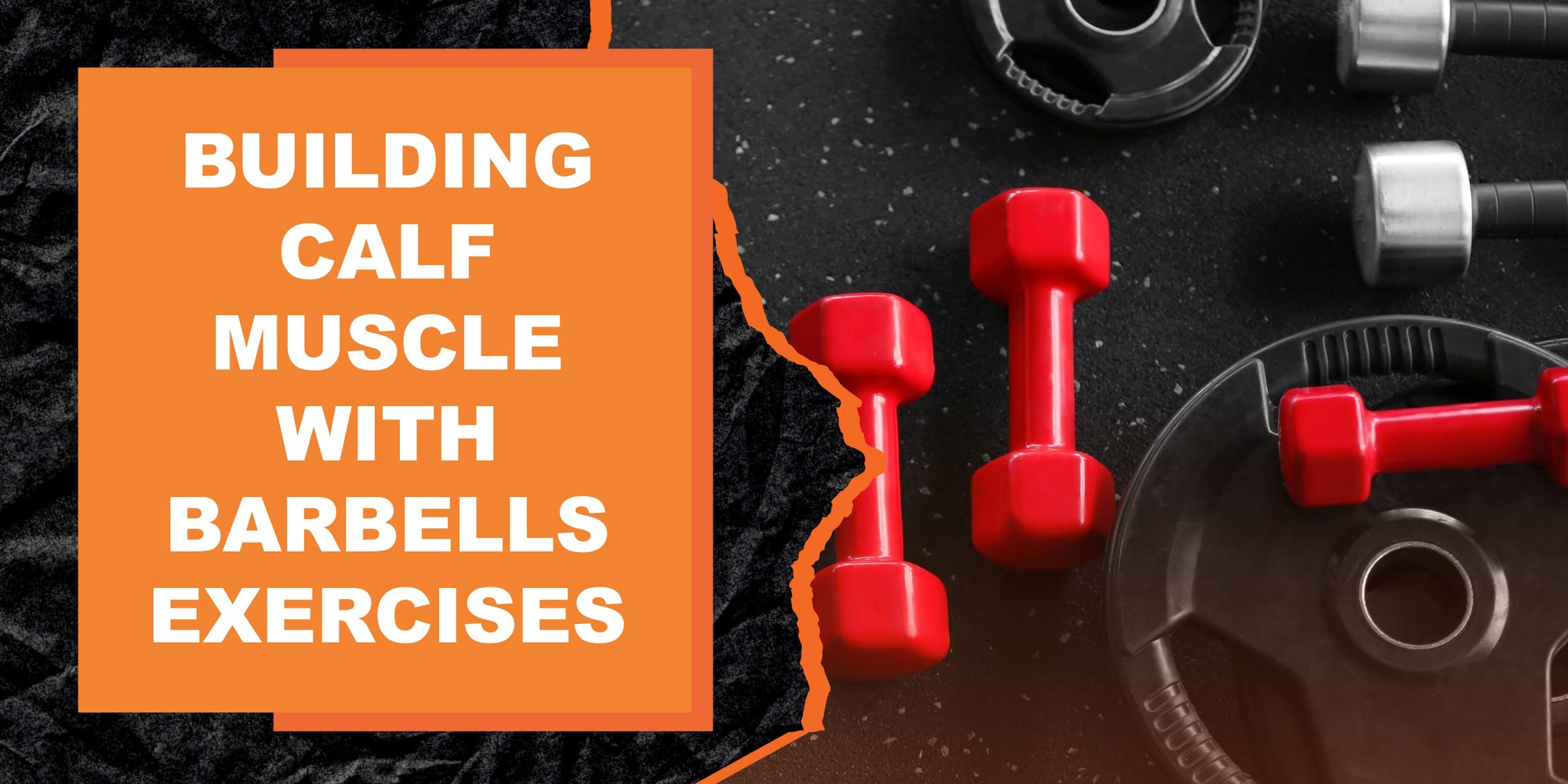 Building Calf Muscle with Barbells Exercises