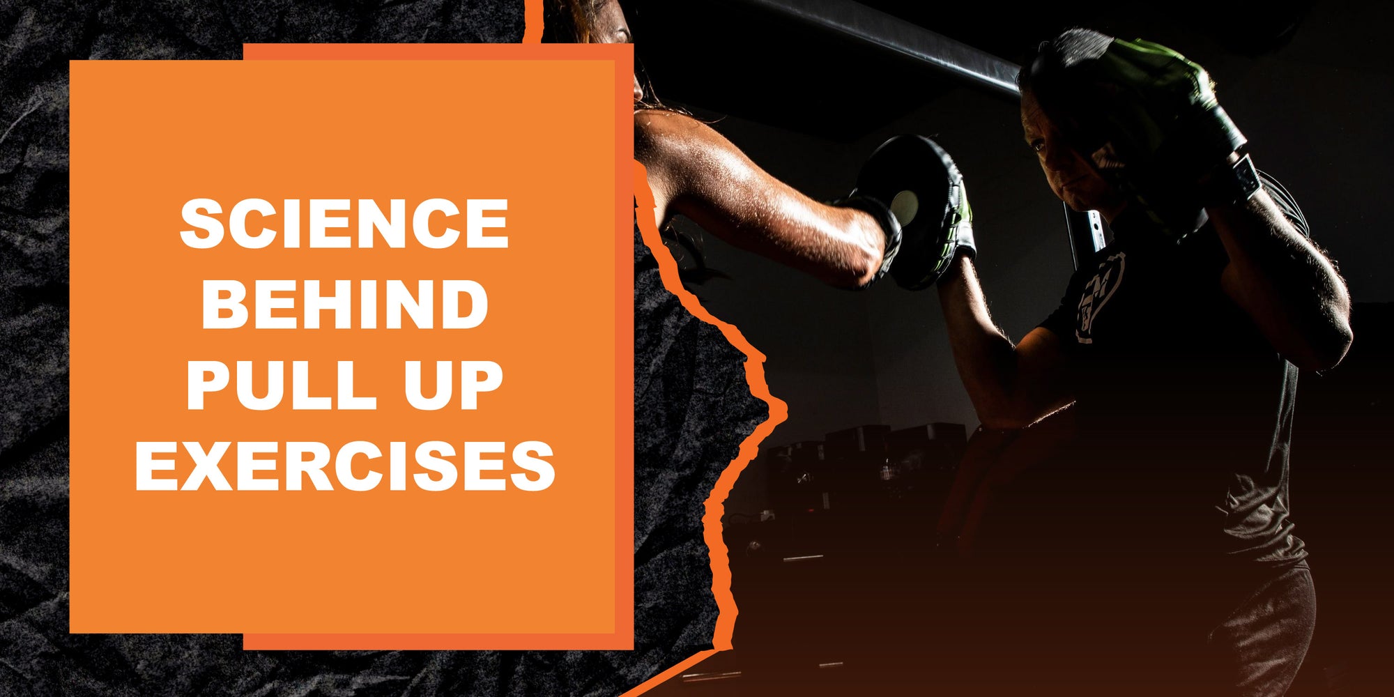 The Science Behind Pull Up Exercises: Exploring the Benefits