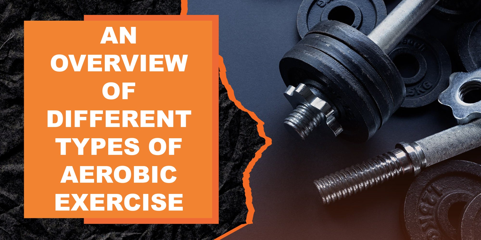 An Overview of Different Types of Aerobic Exercise